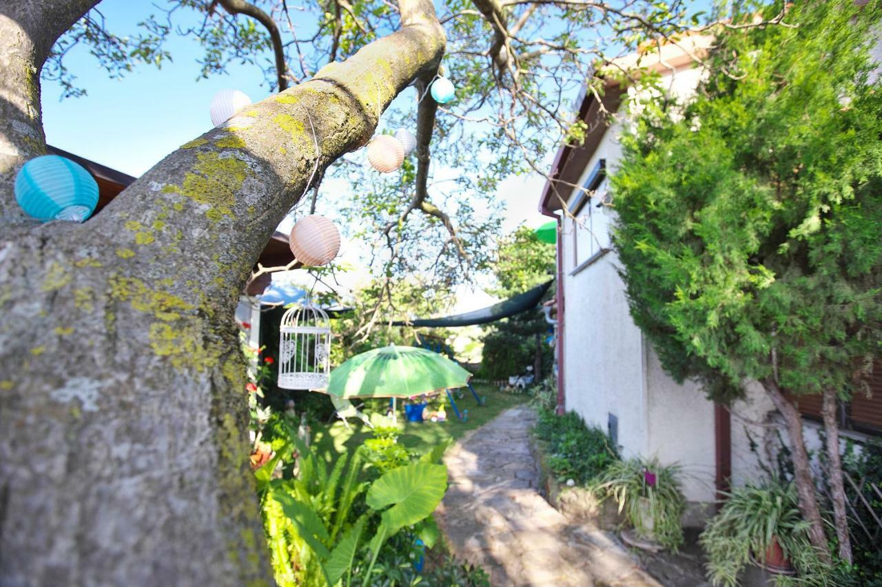 Гостевой дом Cozy Istrian House Изола Экстерьер фото