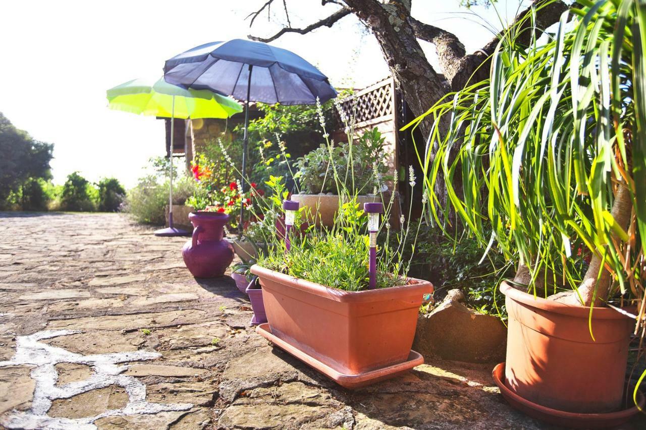 Гостевой дом Cozy Istrian House Изола Экстерьер фото